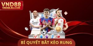 Bí Quyết Bắt Kèo Rung