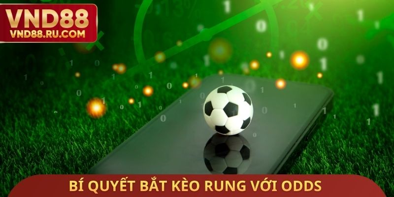 Bí quyết bắt kèo rung với odds