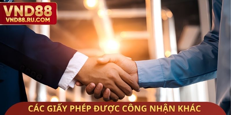 Các giấy phép được công nhận khác của nền tảng