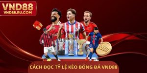 Cách Đọc Tỷ Lệ Kèo Bóng Đá VND88