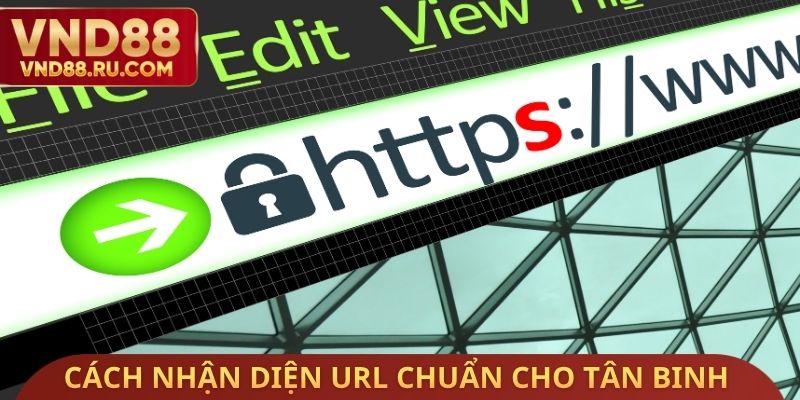 Cách nhận diện URL chuẩn cho tân binh