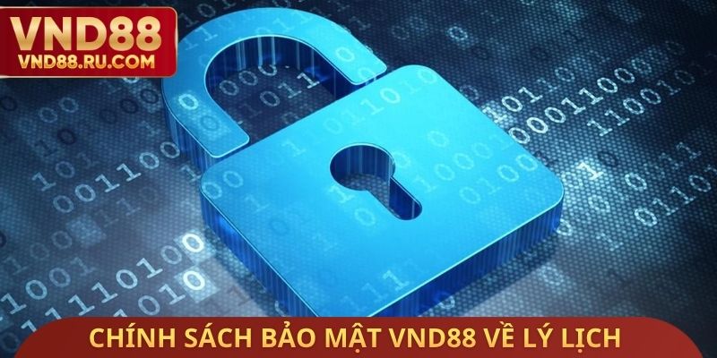 Chính sách bảo mật VND88 liên quan lý lịch