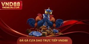 Đá Gà Cựa Dao Trực Tiếp VND88