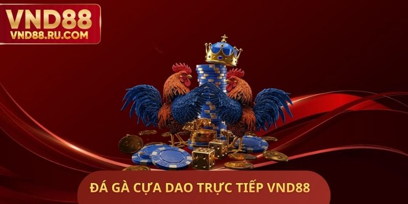 Đá Gà Cựa Dao Trực Tiếp VND88