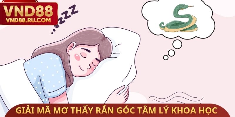 Giải mã mơ thấy rắn góc tâm lý khoa học
