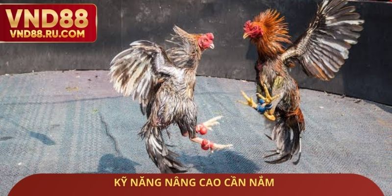 Kỹ năng nâng cao cần nắm