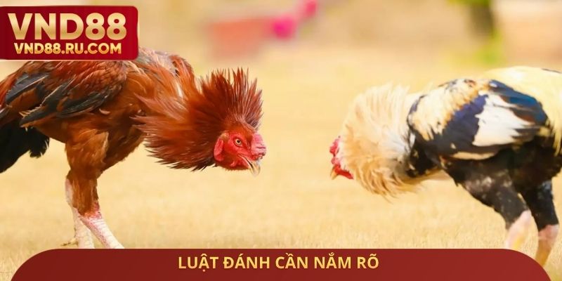 Luật đánh cần nắm rõ