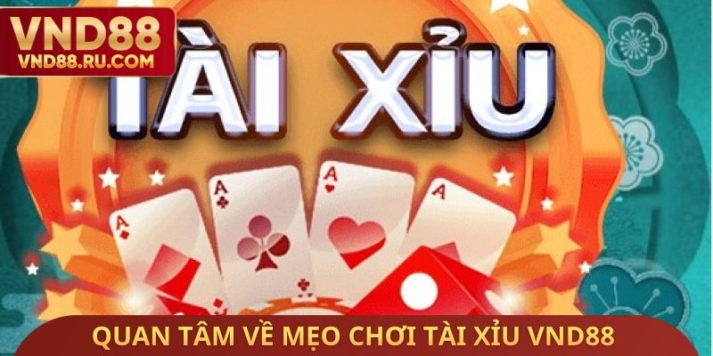 Quan tâm về mẹo chơi tài xỉu VND88