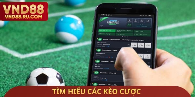 Tìm hiểu các kèo cược