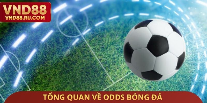 Tổng quan về odds bóng đá 