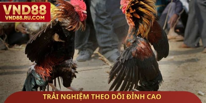 Trải nghiệm theo dõi đỉnh cao