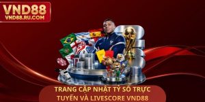 Trang Cập Nhật Tỷ Số Trực Tuyến Và Livescore VND88