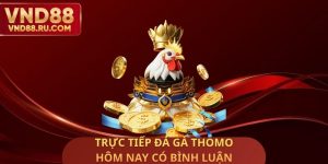 Trực Tiếp Đá Gà Thomo Hôm Nay Có Bình Luận